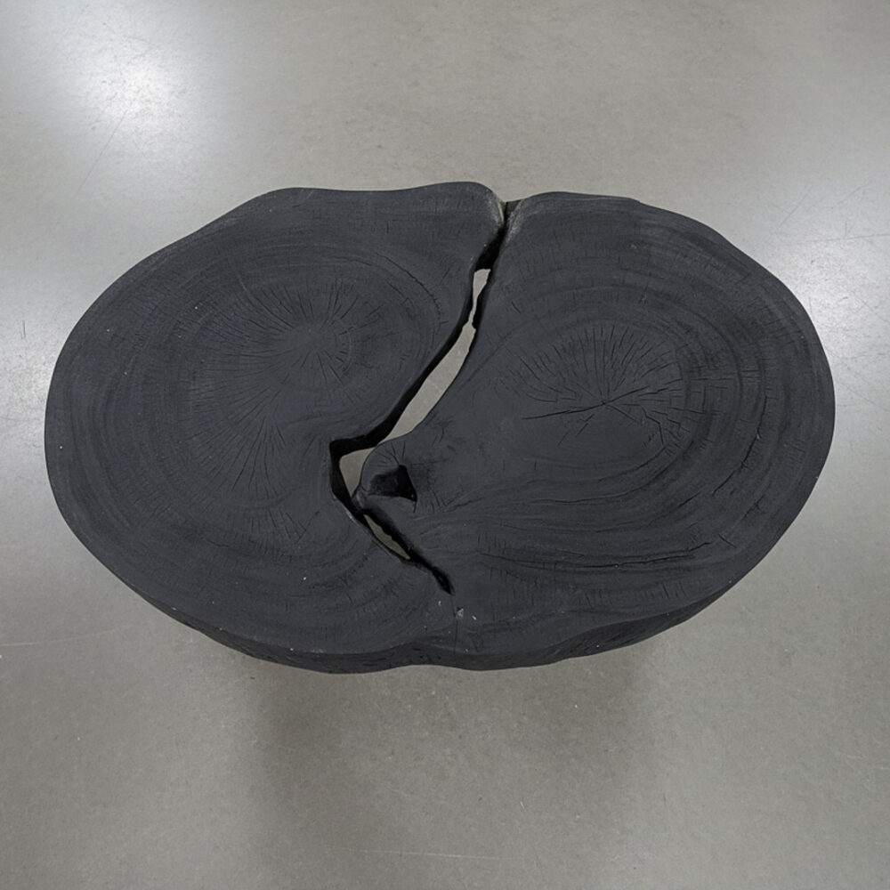 Mesa Centro Melipeuco 90x61x50 cm