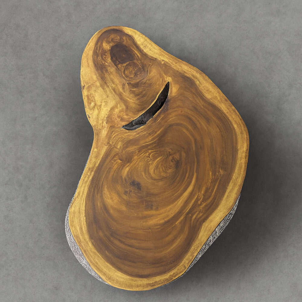 Mesa Centro Nahuelbuta 140x70x51 cm